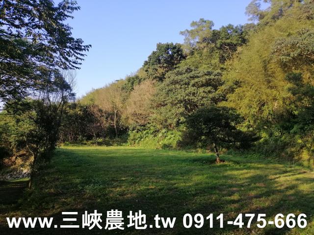 三峽農地-9