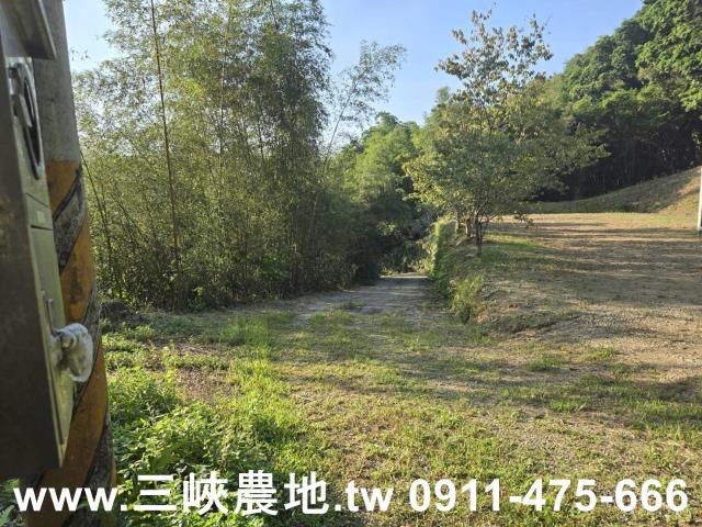 三峽農地-3