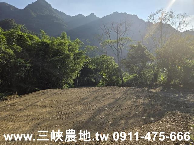 三峽農地-7