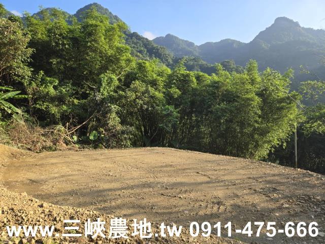 三峽農地-8