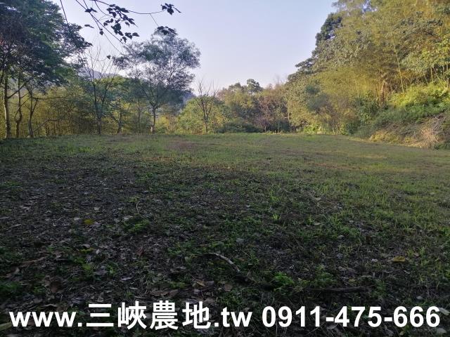 新北三峽農地-13