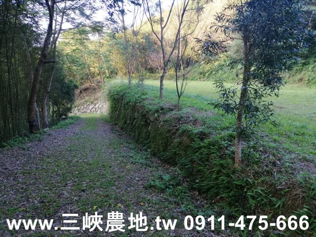 新北三峽農地-5