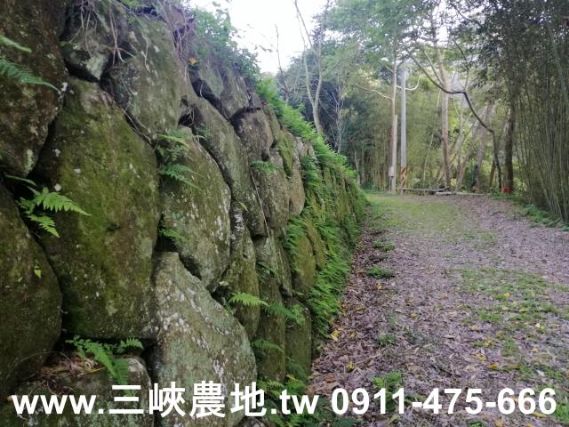 新北三峽農地-7