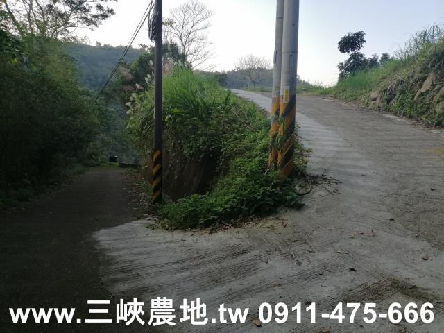 新北三峽農地-8
