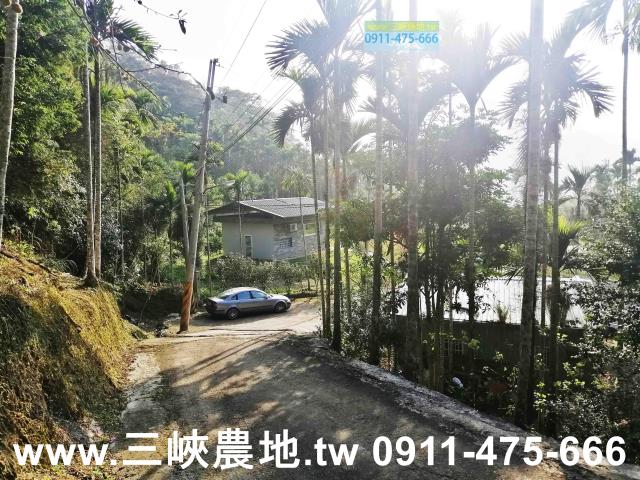 新北三峽農地-13