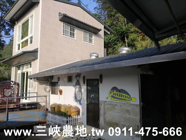 新北三峽農地-14