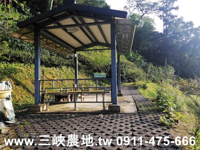新北三峽農地-4