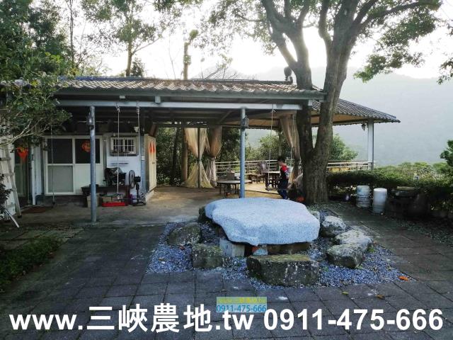 新北三峽農地-11