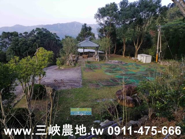 新北三峽農地-13