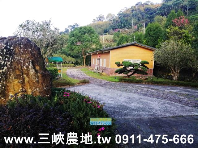 新北三峽農地-1