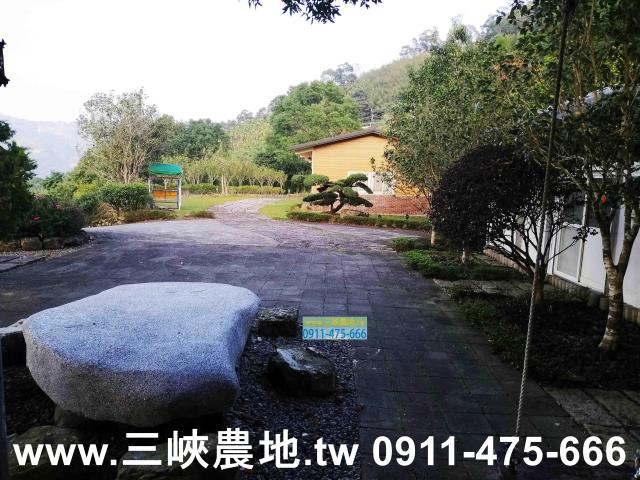新北三峽農地-4