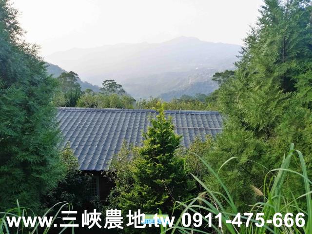 新北三峽農地-5