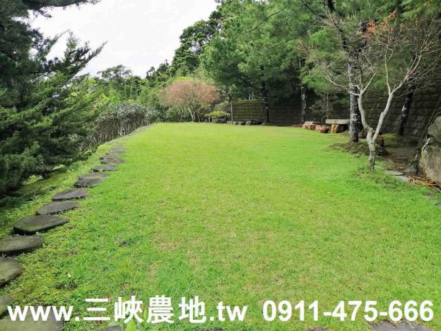 新北三峽農地-9