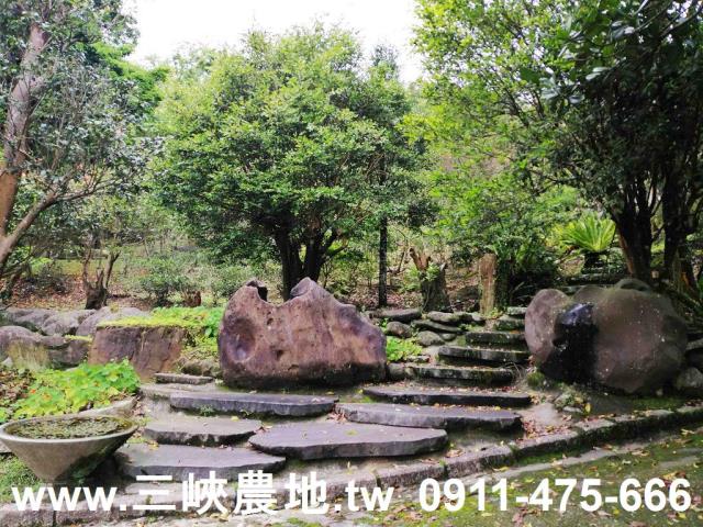 新北三峽農地-11