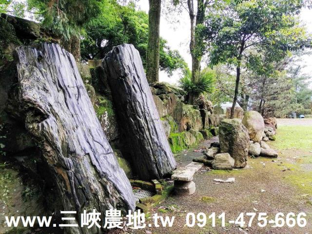 新北三峽農地-0