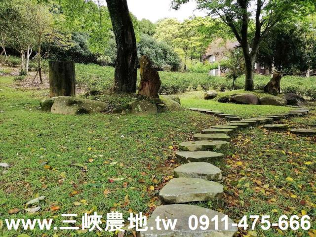 新北三峽農地-7