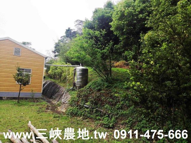 新北林地-9
