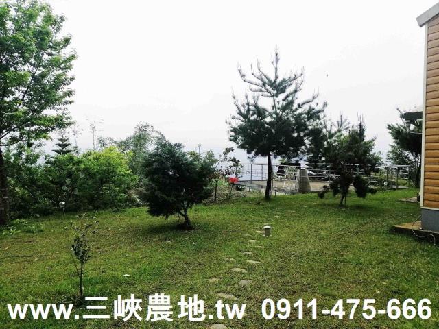 新北林地-10