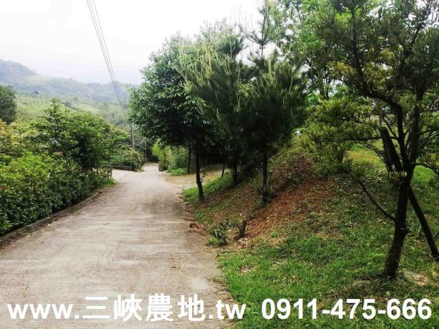 新北林地-11