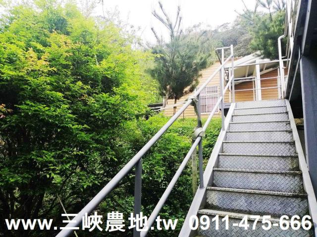 新北林地-12