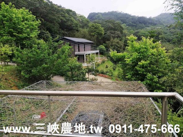 新北林地-2