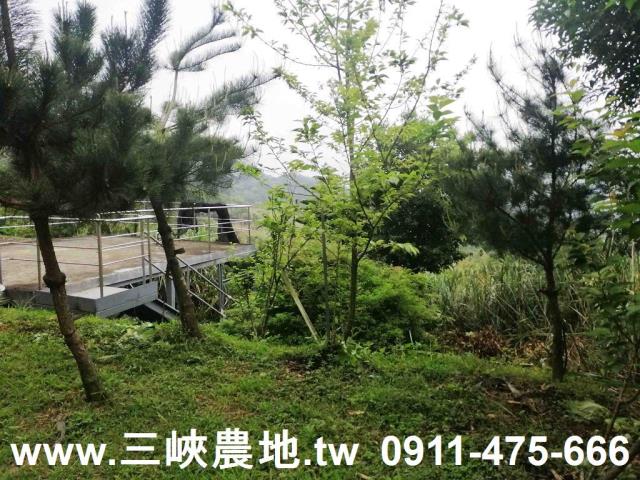新北林地-3