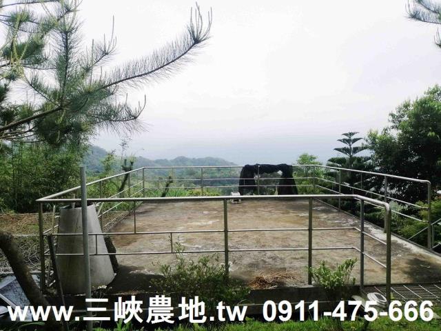 新北林地-4