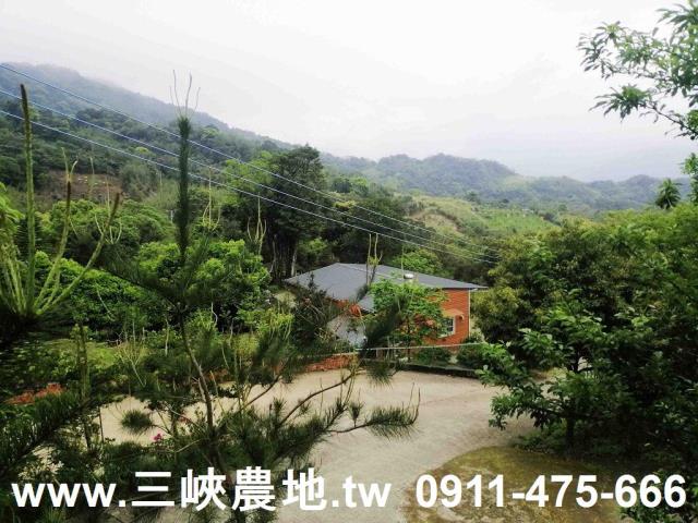 新北林地-5