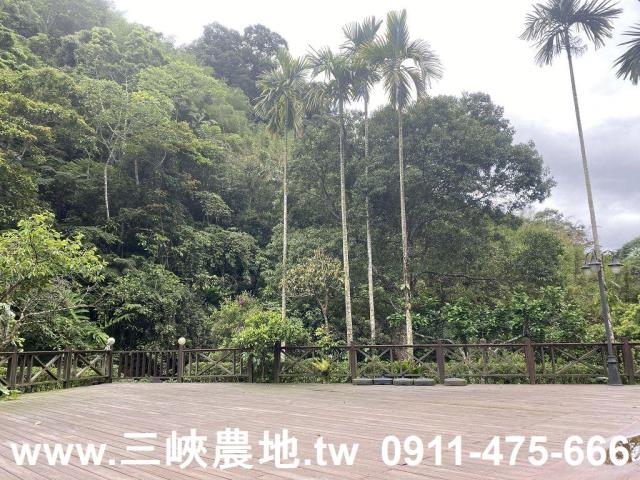 新北農地-9