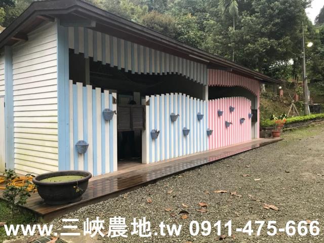 新北農地-11