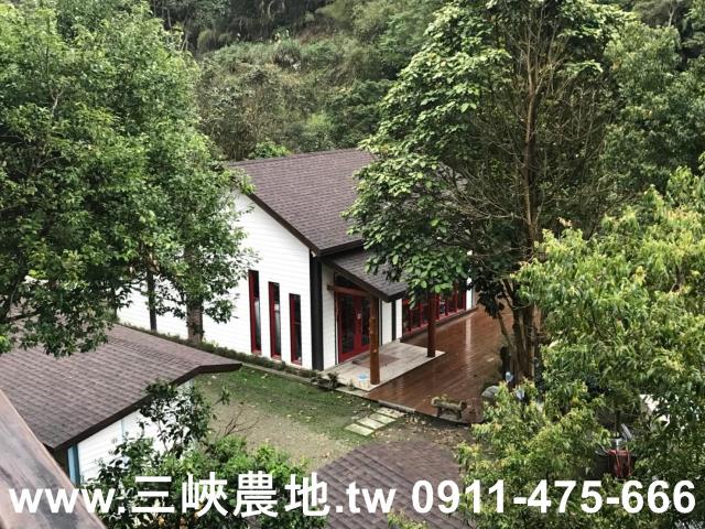 新北農地-0
