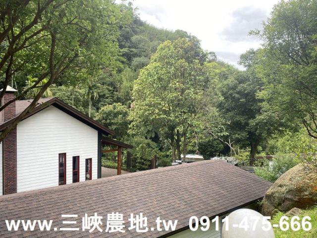 新北農地-1