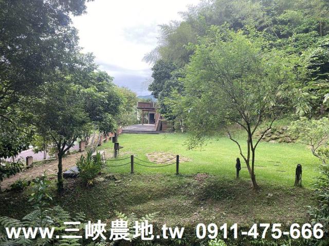 新北農地-3