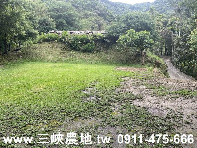 新北農地-4