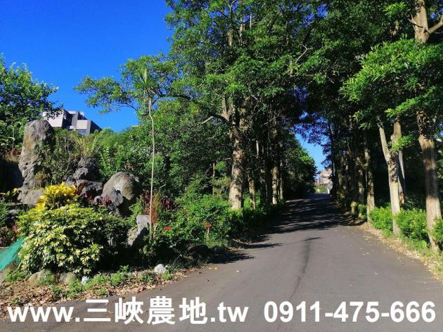 三峽建地-1