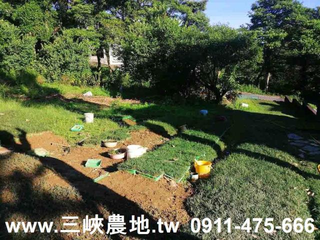 三峽建地-4