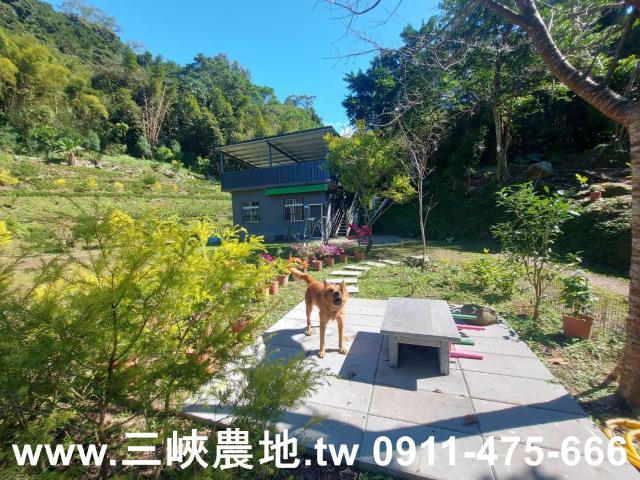 新北農地-9