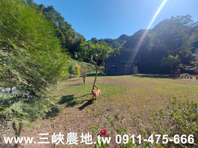 新北農地-10
