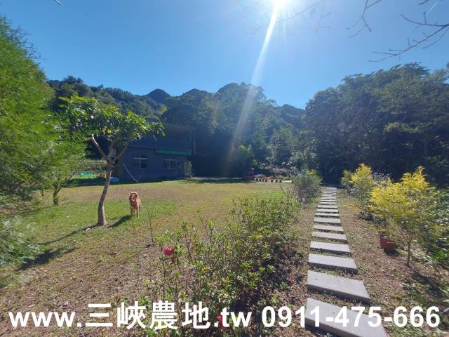 新北農地-11