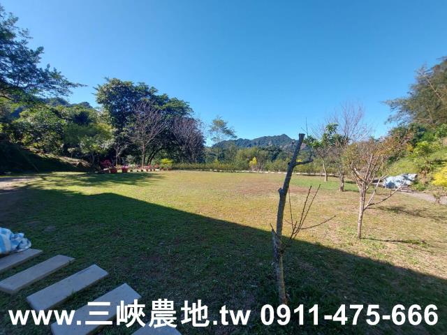 新北農地-12