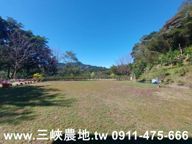 新北農地-1