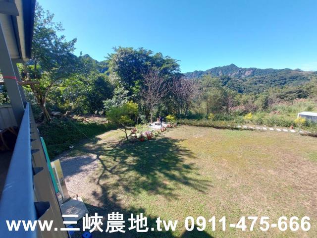 新北農地-2