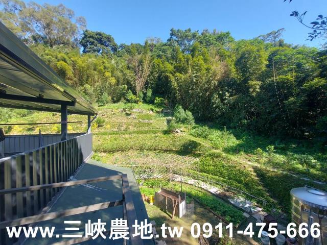 新北農地-5