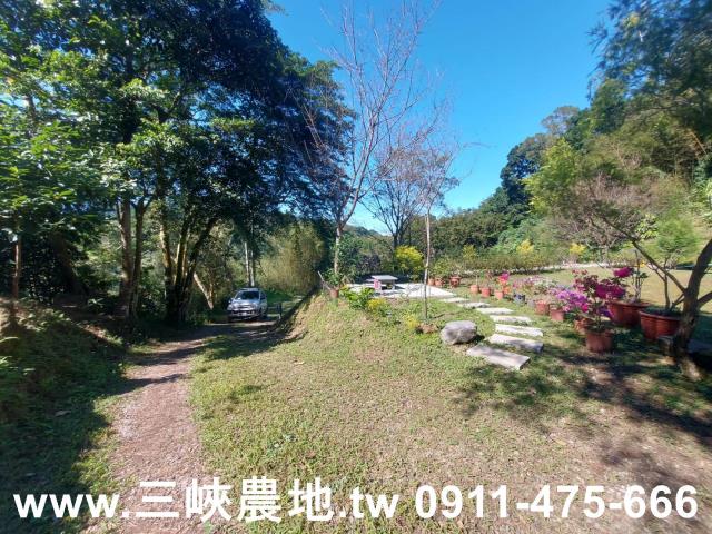 新北農地-7